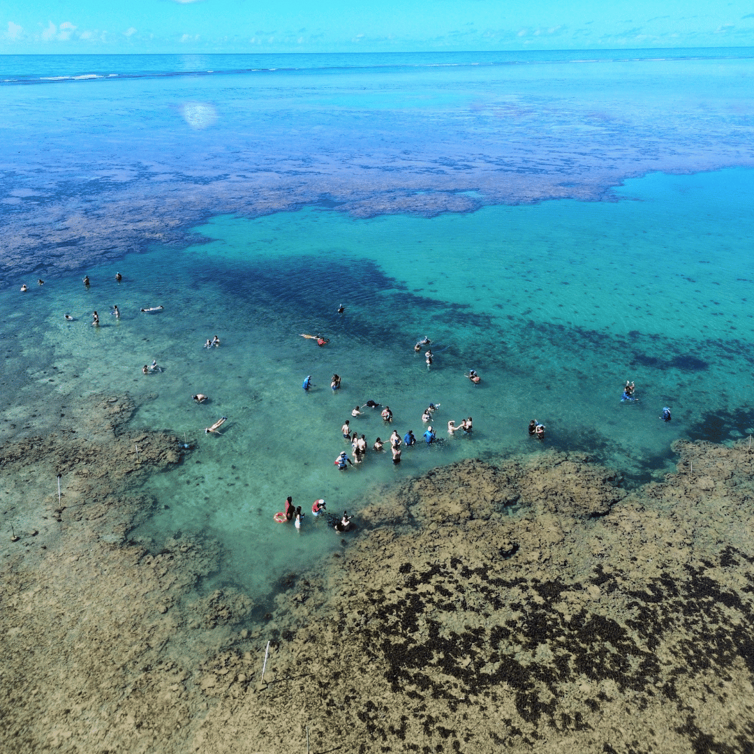 Parque Marinho Recife de Fora - Porto Seguro