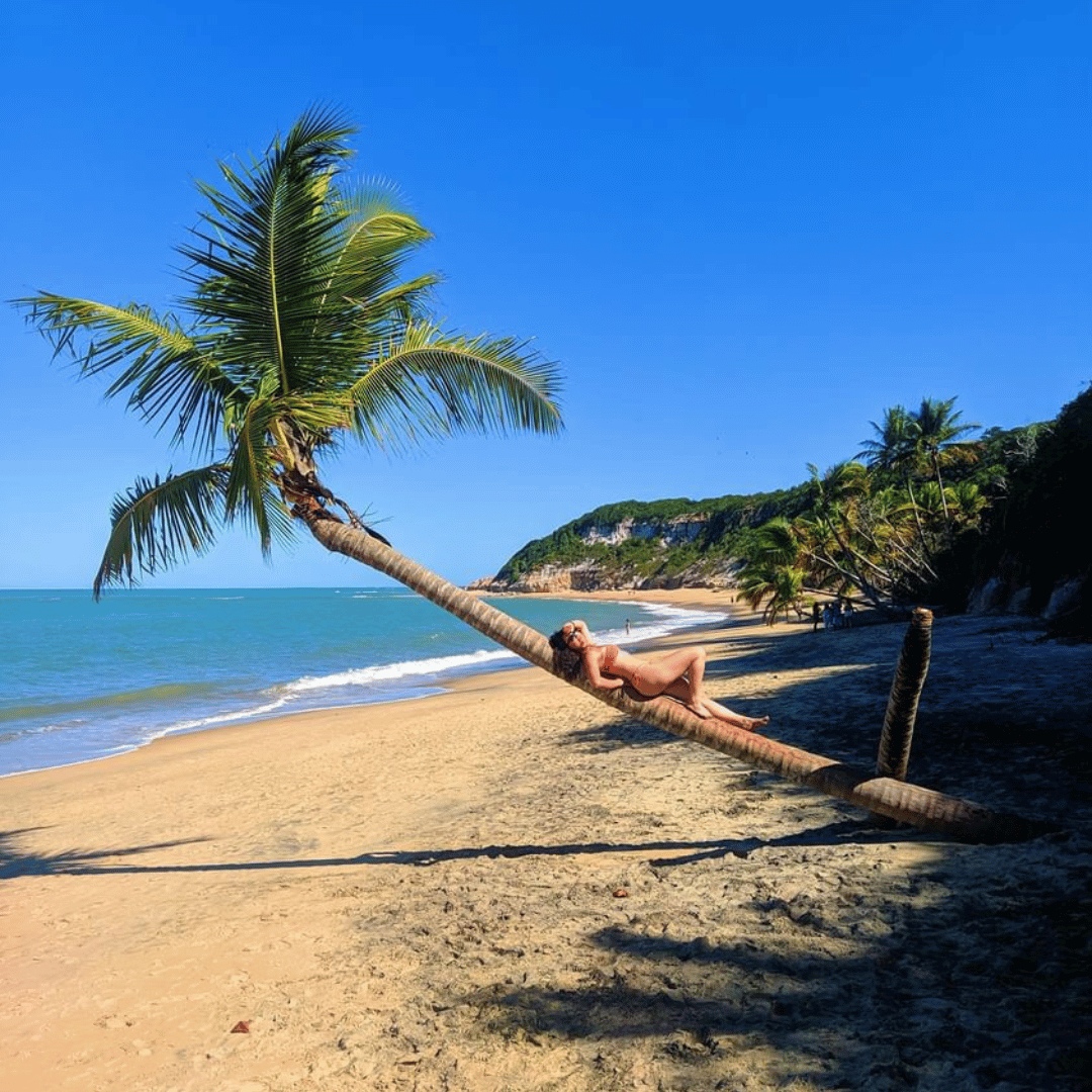 Coqueiros, Praia do Espelho, Trancoso - Porto Seguro